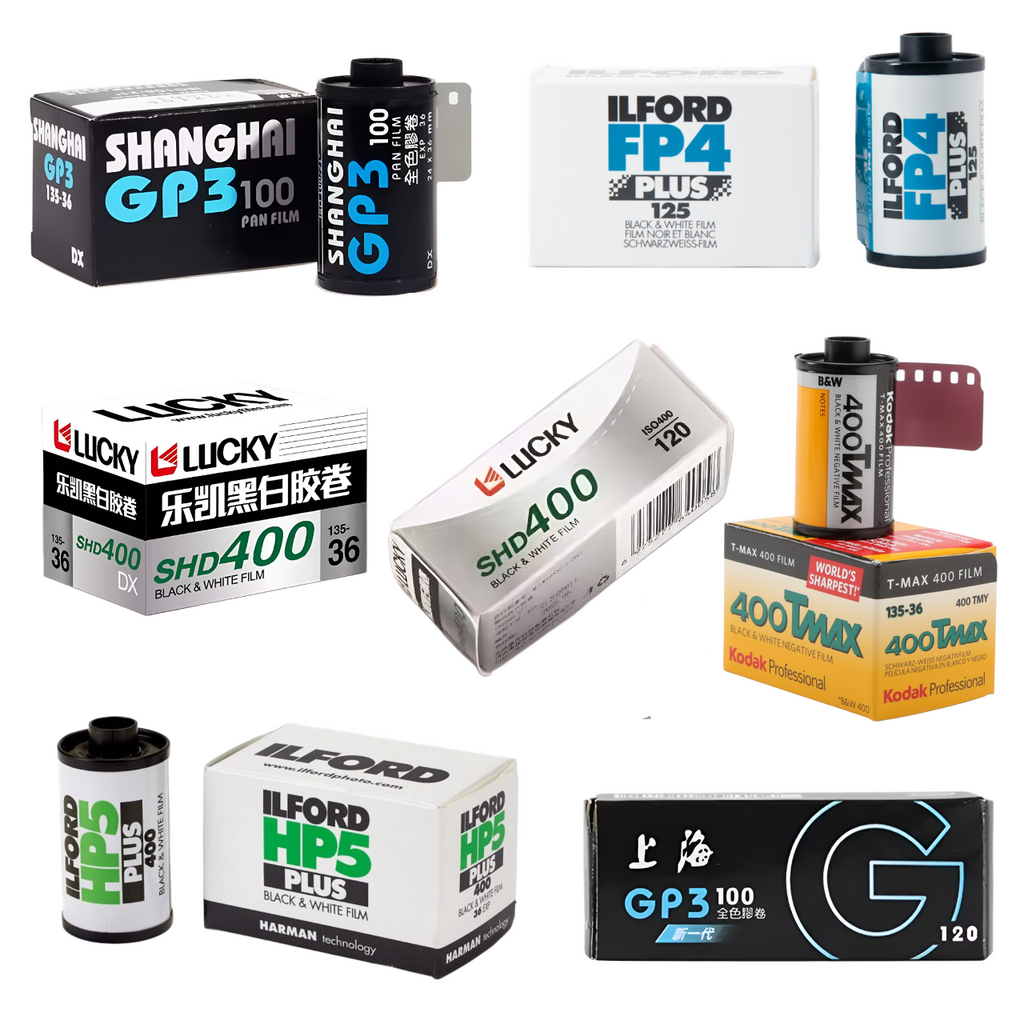 Professional B&W Films - Ilford, Shanghai, Lucky, Kodak - 35 mm (135) and 120 formats.